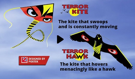 Teror Kite & Terror Hawk Video